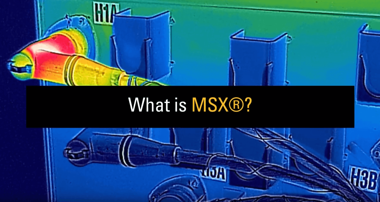 FLIR MSX®란?